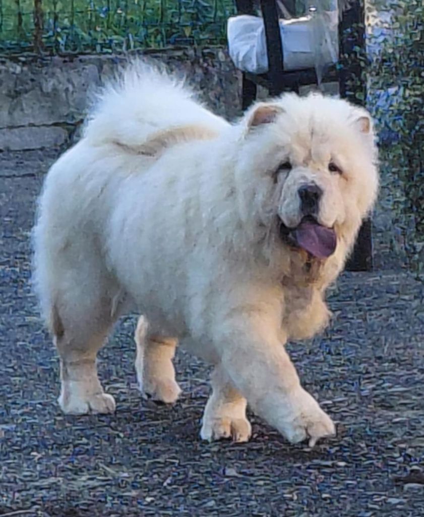 Vaiyka domaine de l'étang de la rhode